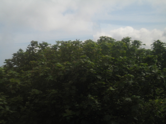 View from the train (07-11-2011 10:23)