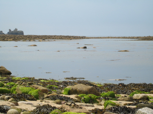 View from the Porthcressa beach (07-12-2011 10:32)