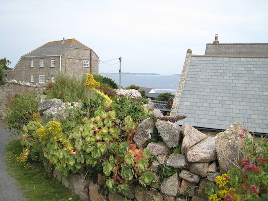 Rock garden (07-12-2011 10:55)