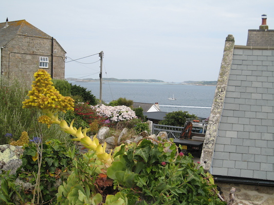 Rock garden (07-12-2011 10:56)