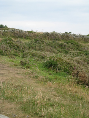 Peninnis head (07-12-2011 15:23)