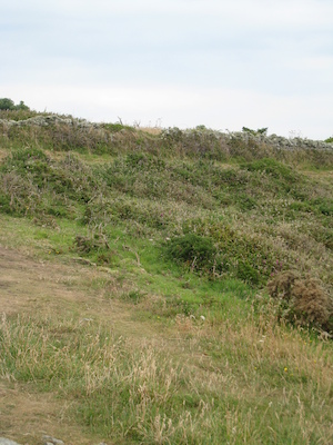 Peninnis head (07-12-2011 15:23)