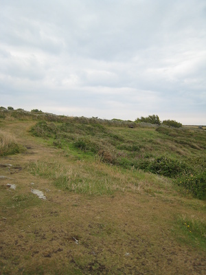 Peninnis head PAN (07-12-2011 15:23)