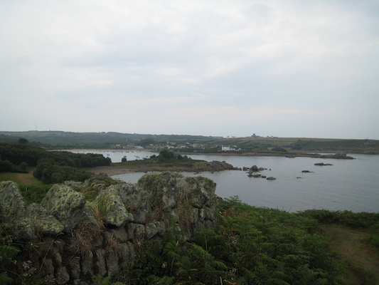 Lichen wall and Old Town (07-12-2011 15:36)