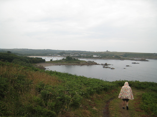 Lichen wall and Old Town and Xine (07-12-2011 15:36)