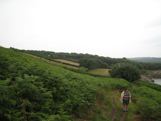 Xine (07-12-2011 15:37)