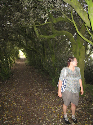 Xine in a tree arch (07-12-2011 15:39)