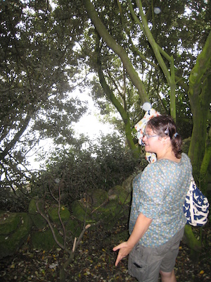 Xine in a tree arch (07-12-2011 15:39)