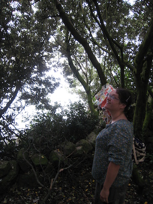 Xine in a tree arch (07-12-2011 15:39)