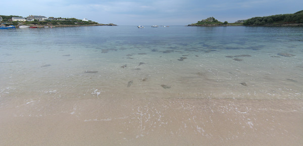 IMG_0449-IMG_0454 (07-12-2011 15:56)