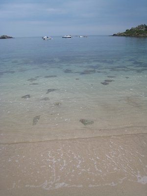 Old Town harbor (with the cool rocks) PAN3 (07-12-2011 15:56)