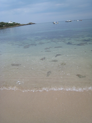 Old Town harbor (with the cool rocks) PAN3 (07-12-2011 15:56)