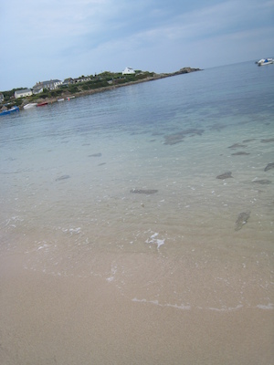 Old Town harbor (with the cool rocks) PAN3 (07-12-2011 15:56)