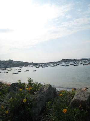 Hugh Town PAN2 (07-12-2011 17:28)