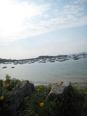 Hugh Town PAN2 (07-12-2011 17:28)