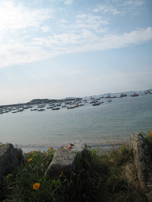 Hugh Town PAN2 (07-12-2011 17:28)