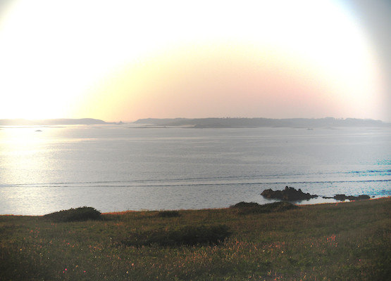 IMG_0534-IMG_0535 (07-12-2011 20:25)