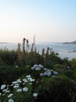 Hugh Town PAN1 (07-12-2011 20:38)