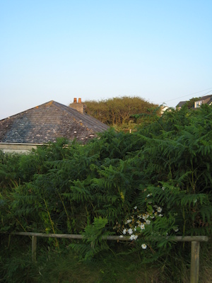 Hugh Town PAN1 (07-12-2011 20:38)