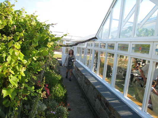 Xine passing under the grape vine (07-13-2011 09:02)