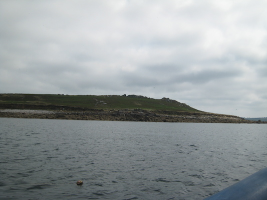 ? (07-13-2011 11:01)