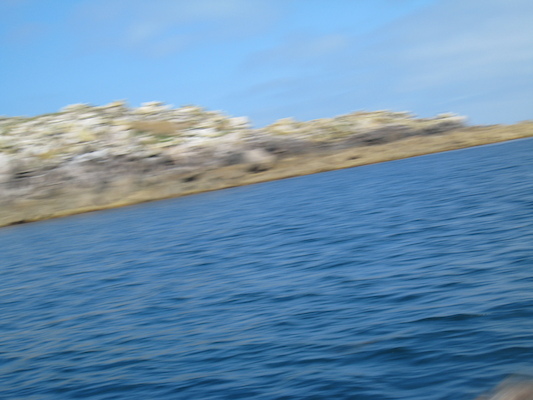 Southward Well (07-13-2011 11:07)