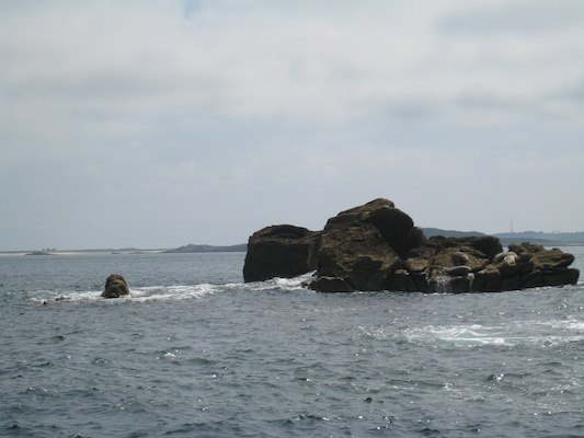 Seals (07-13-2011 11:27)