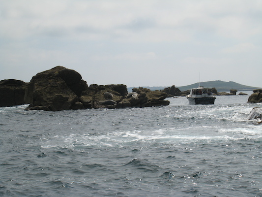 Seals (07-13-2011 11:27)