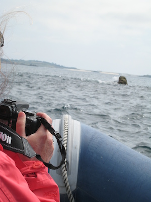 Rocks (07-13-2011 11:27)