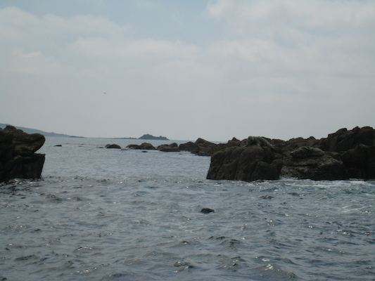 Seals (07-13-2011 11:28)
