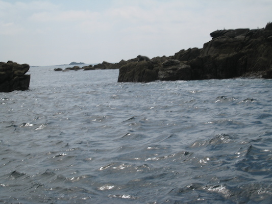 Seals (07-13-2011 11:28)