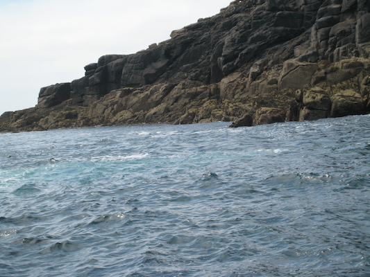 Rocks (07-13-2011 11:45)