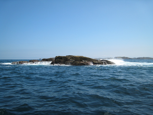 Seals (07-13-2011 11:48)