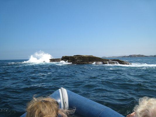 Seals (07-13-2011 11:48)