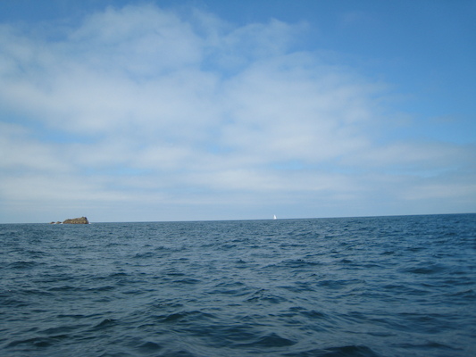 Sailboat (07-13-2011 11:49)