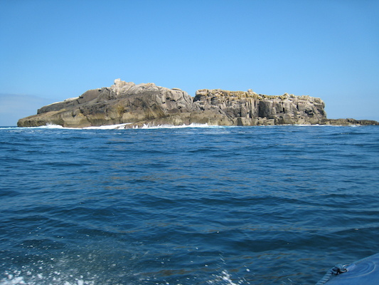 Rocks (07-13-2011 11:51)