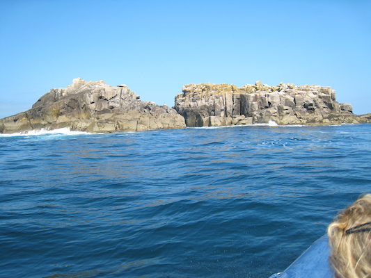 Rocks (07-13-2011 11:51)