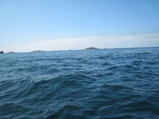 Rocks (07-13-2011 11:55)