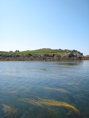 Bryher PAN1 (07-13-2011 12:09)
