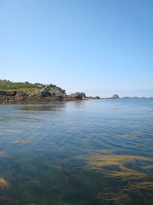 Bryher PAN1 (07-13-2011 12:09)