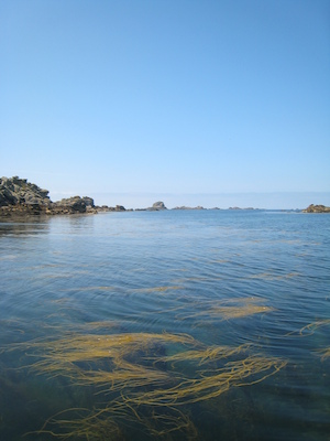 Bryher PAN1 (07-13-2011 12:09)