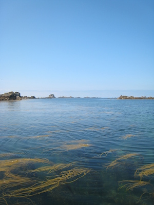 Bryher PAN1 (07-13-2011 12:09)