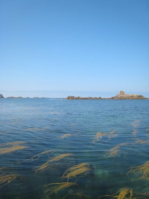 Bryher PAN1 (07-13-2011 12:09)