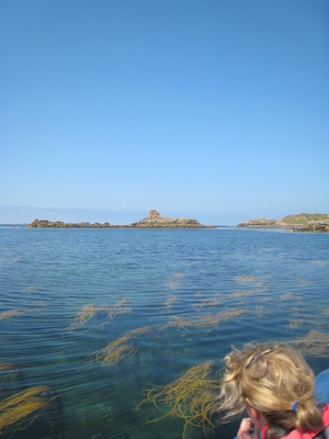 Bryher PAN1 (07-13-2011 12:09)