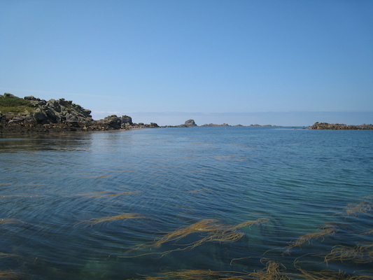 Bryher looking out (07-13-2011 12:09)