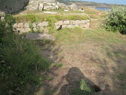 Bird (07-13-2011 18:16)