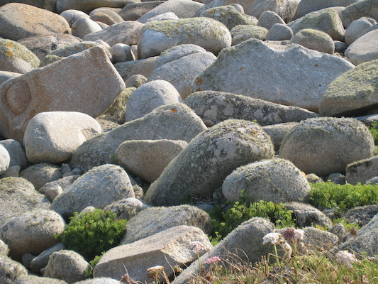 Fraggle rocks (07-13-2011 18:38)