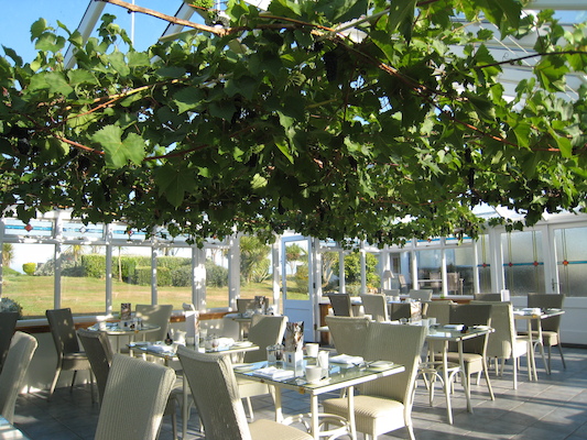 Breakfast in the conservatory (07-14-2011 08:02)
