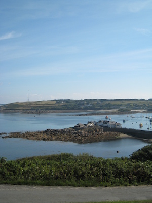 Cruise ship PAN1 (07-14-2011 09:29)