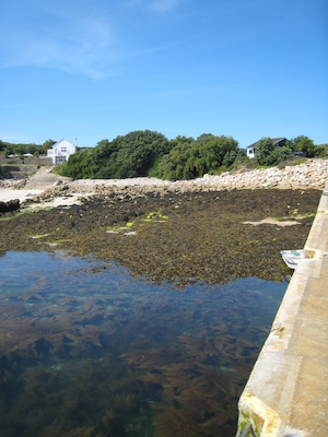 St. Agnes PAN1 (07-14-2011 10:44)